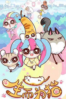 滨江seo优化价格